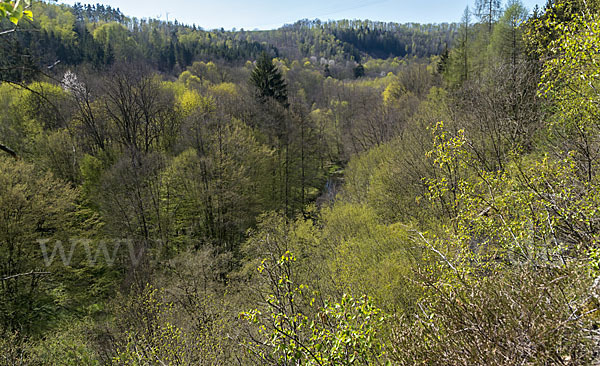 Thüringen (Thuringia)