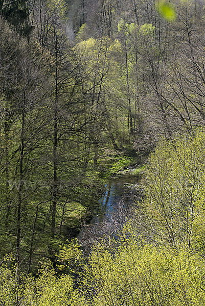 Thüringen (Thuringia)