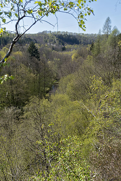 Thüringen (Thuringia)