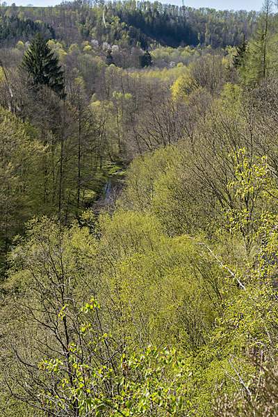 Thüringen (Thuringia)