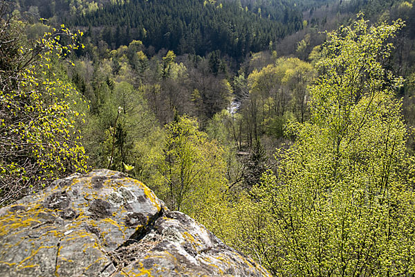 Thüringen (Thuringia)