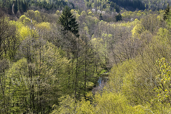 Thüringen (Thuringia)