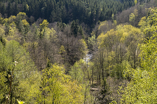 Thüringen (Thuringia)