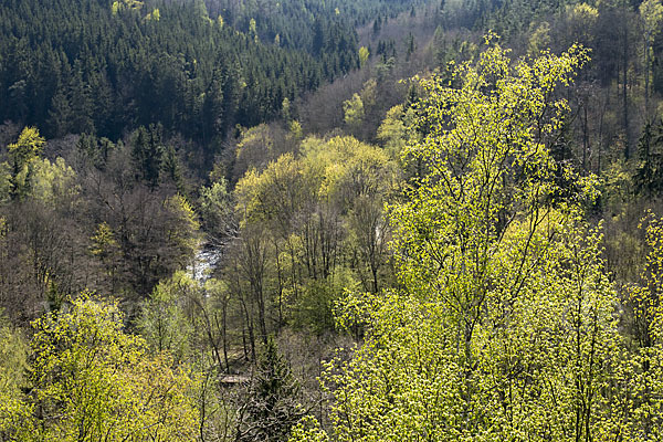 Thüringen (Thuringia)