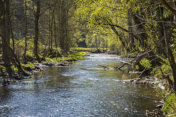 Thüringen (Thuringia)