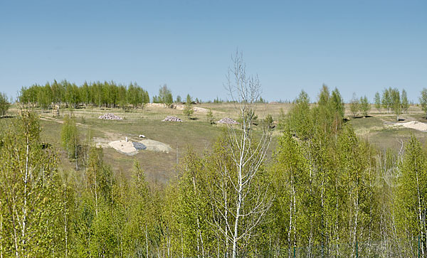 Thüringen (Thuringia)