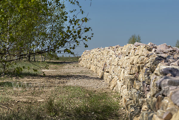 Thüringen (Thuringia)