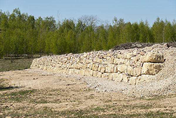 Thüringen (Thuringia)