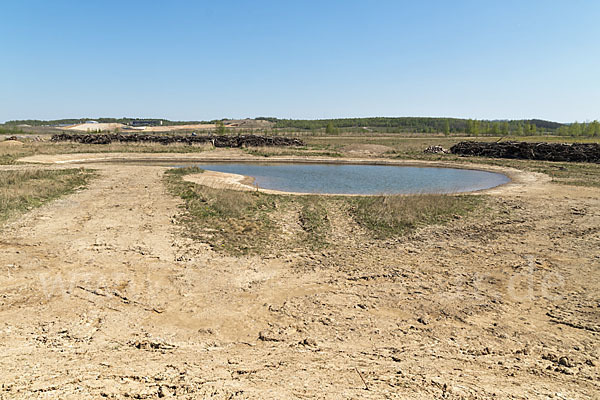 Thüringen (Thuringia)