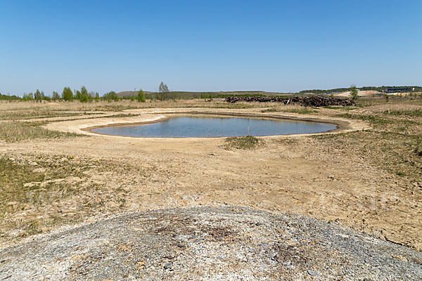 Thüringen (Thuringia)