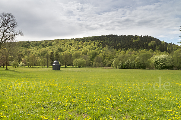 Thüringen (Thuringia)