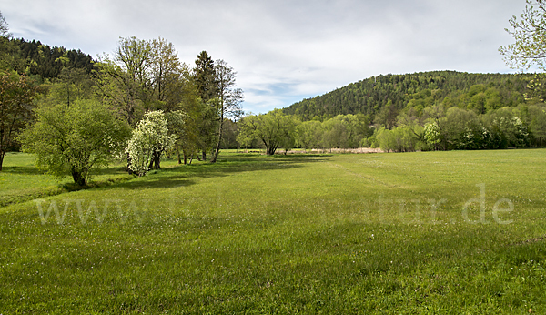 Thüringen (Thuringia)