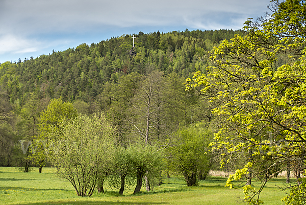 Thüringen (Thuringia)