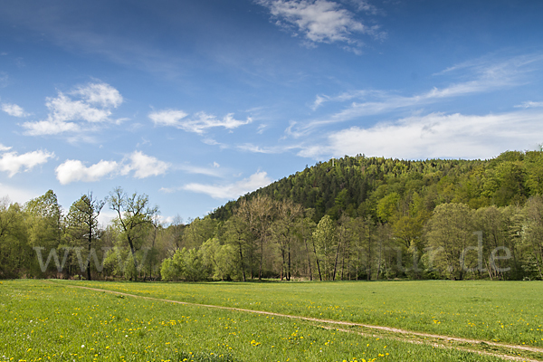 Thüringen (Thuringia)