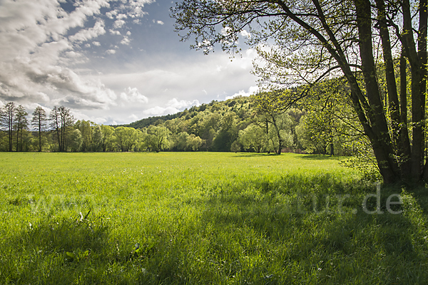 Thüringen (Thuringia)