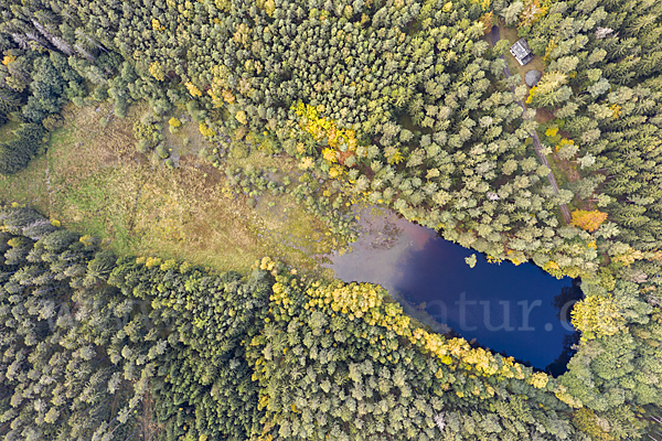 Thüringen (Thuringia)