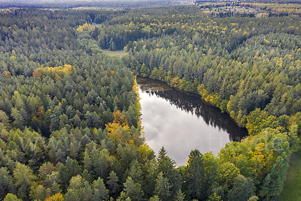 Thüringen (Thuringia)