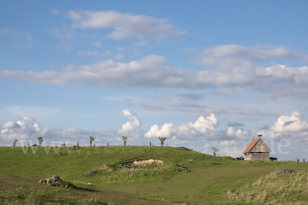 Thüringen (Thuringia)