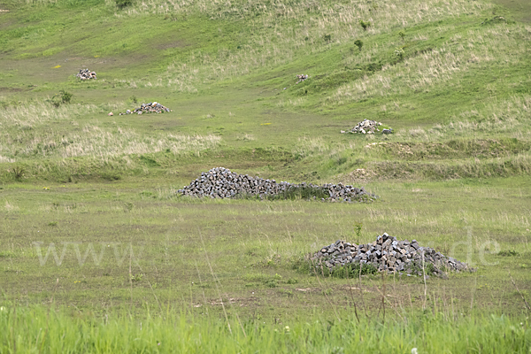 Thüringen (Thuringia)