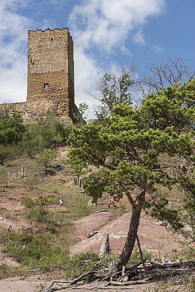 Thüringen (Thuringia)