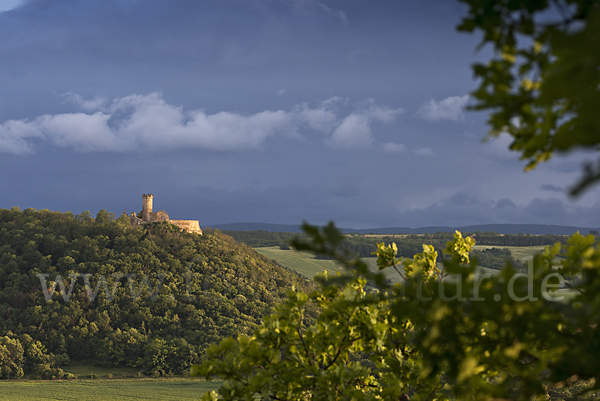 Thüringen (Thuringia)