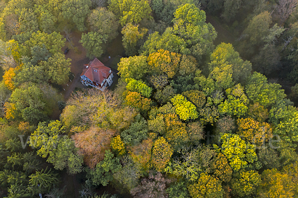 Thüringen (Thuringia)