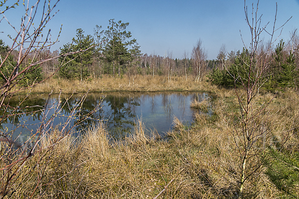 Thüringen (Thuringia)