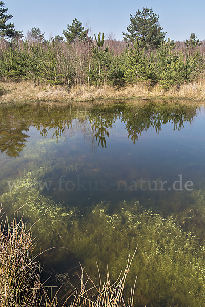 Thüringen (Thuringia)