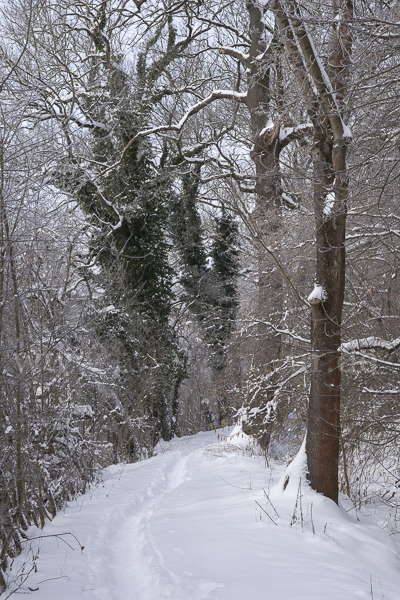 Thüringen (Thuringia)