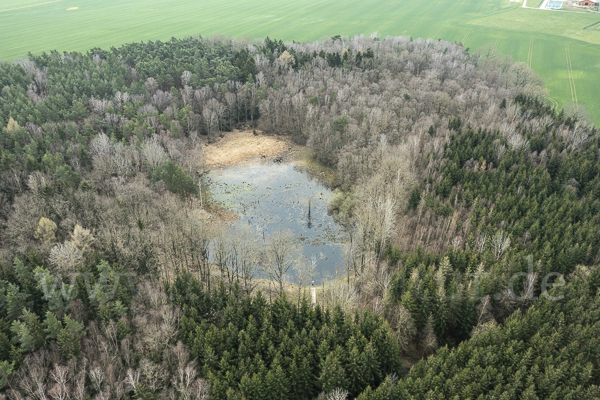 Thüringen (Thuringia)