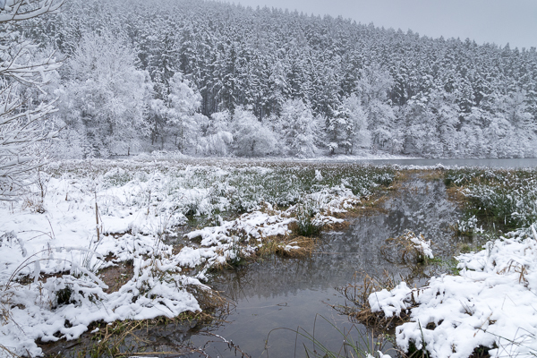 Thüringen (Thuringia)