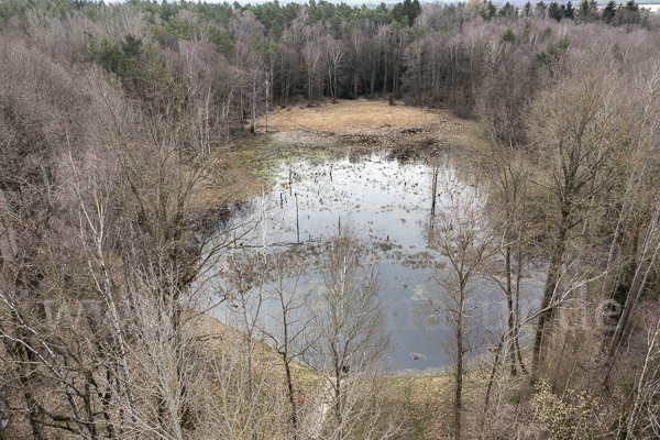 Thüringen (Thuringia)