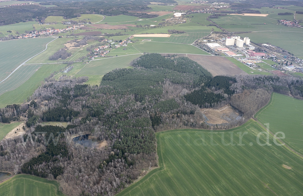 Thüringen (Thuringia)