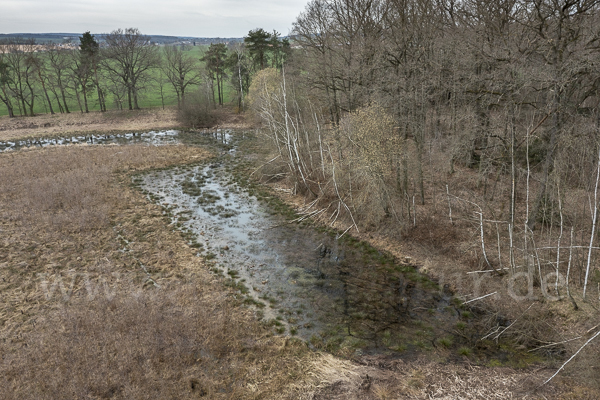 Thüringen (Thuringia)