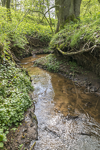 Thüringen (Thuringia)