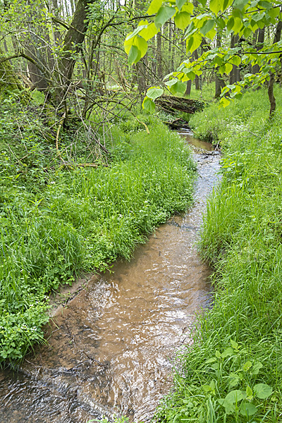 Thüringen (Thuringia)