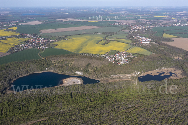 Thüringen (Thuringia)