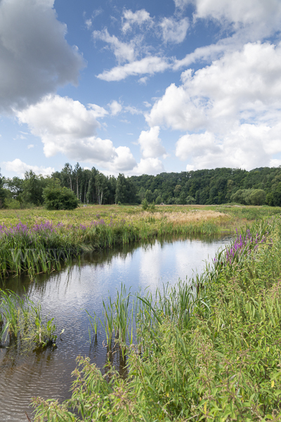 Thüringen (Thuringia)