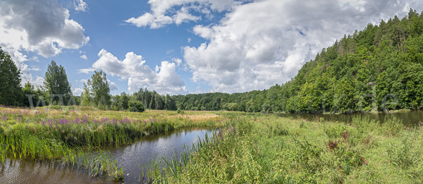 Thüringen (Thuringia)