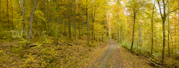 Thüringen (Thuringia)