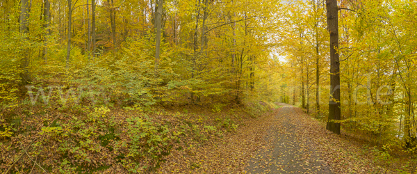 Thüringen (Thuringia)