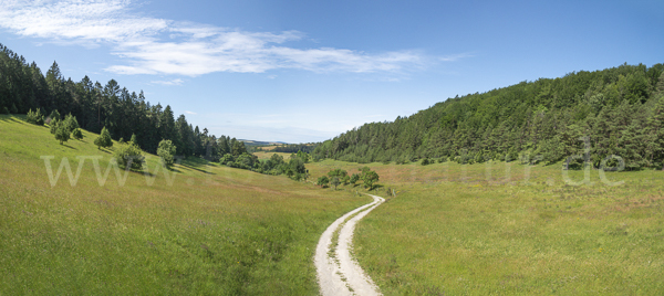 Thüringen (Thuringia)