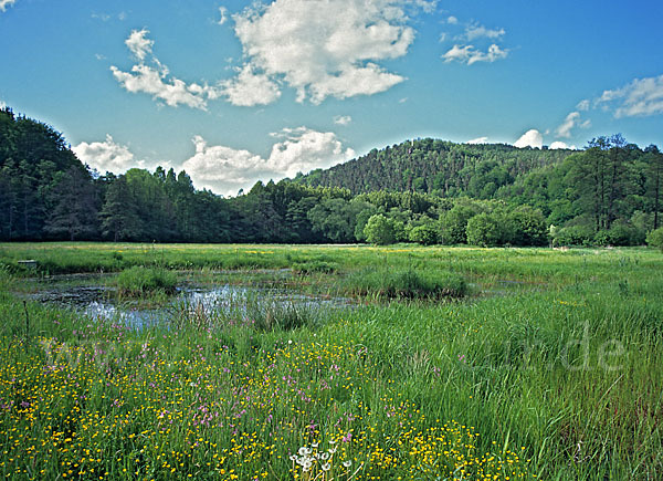 Thüringen (Thuringia)