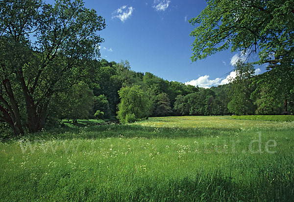 Thüringen (Thuringia)