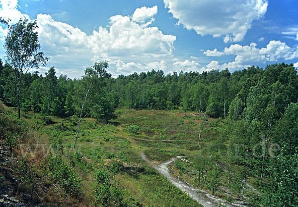 Thüringen (Thuringia)