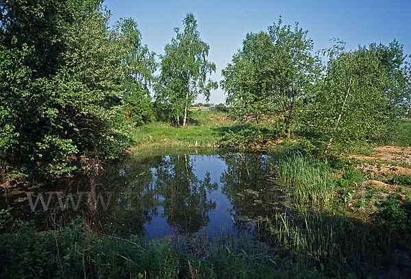 Thüringen (Thuringia)