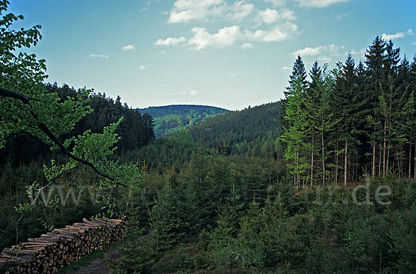 Thüringen (Thuringia)