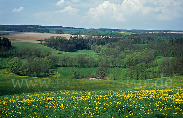 Thüringen (Thuringia)