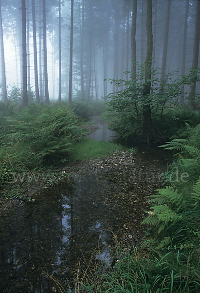 Thüringen (Thuringia)