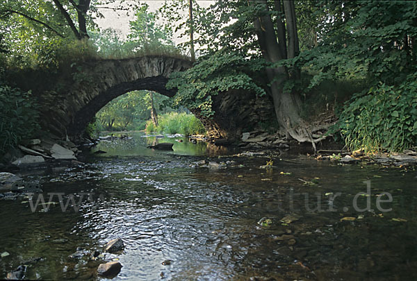 Thüringen (Thuringia)